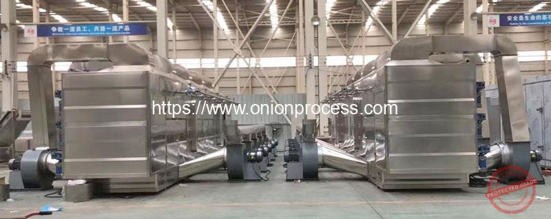 Multi-Layer-Onion-Slice-Dryer-Machine